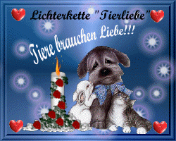 Lichterkette für Tierliebe
