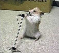 hamster_singt